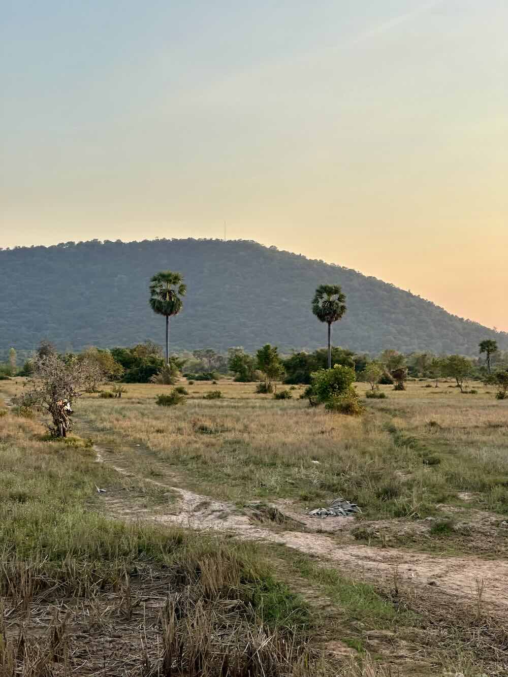 Siem Reap skyline and temples
