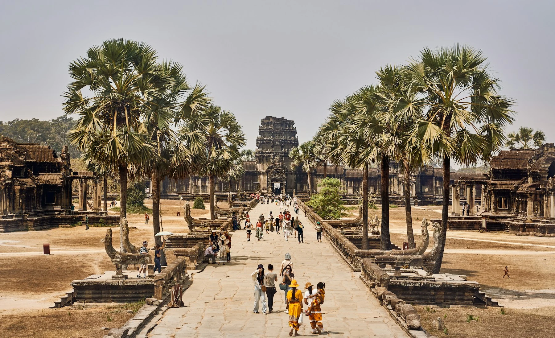 Visitors walking between palm trees on the approach to Angkor Wat.