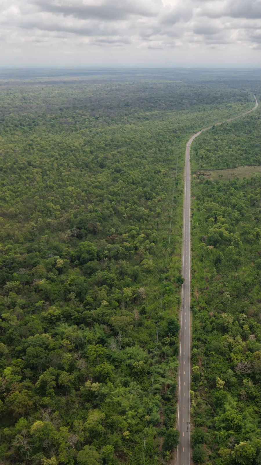 Une route traversant la forêt cambodgienne, photographiée pendant le road trip The Map