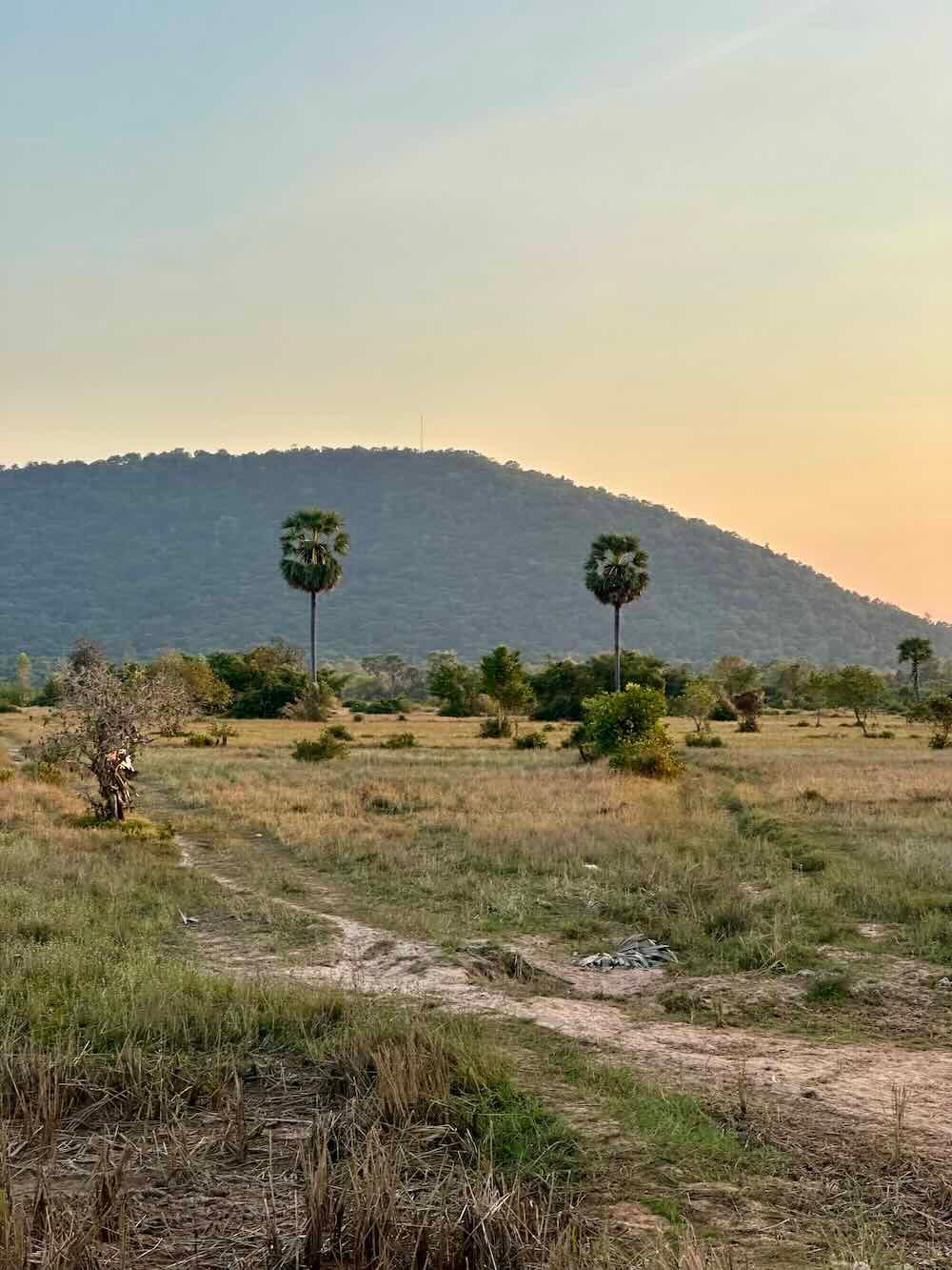 Siem Reap skyline and temples
