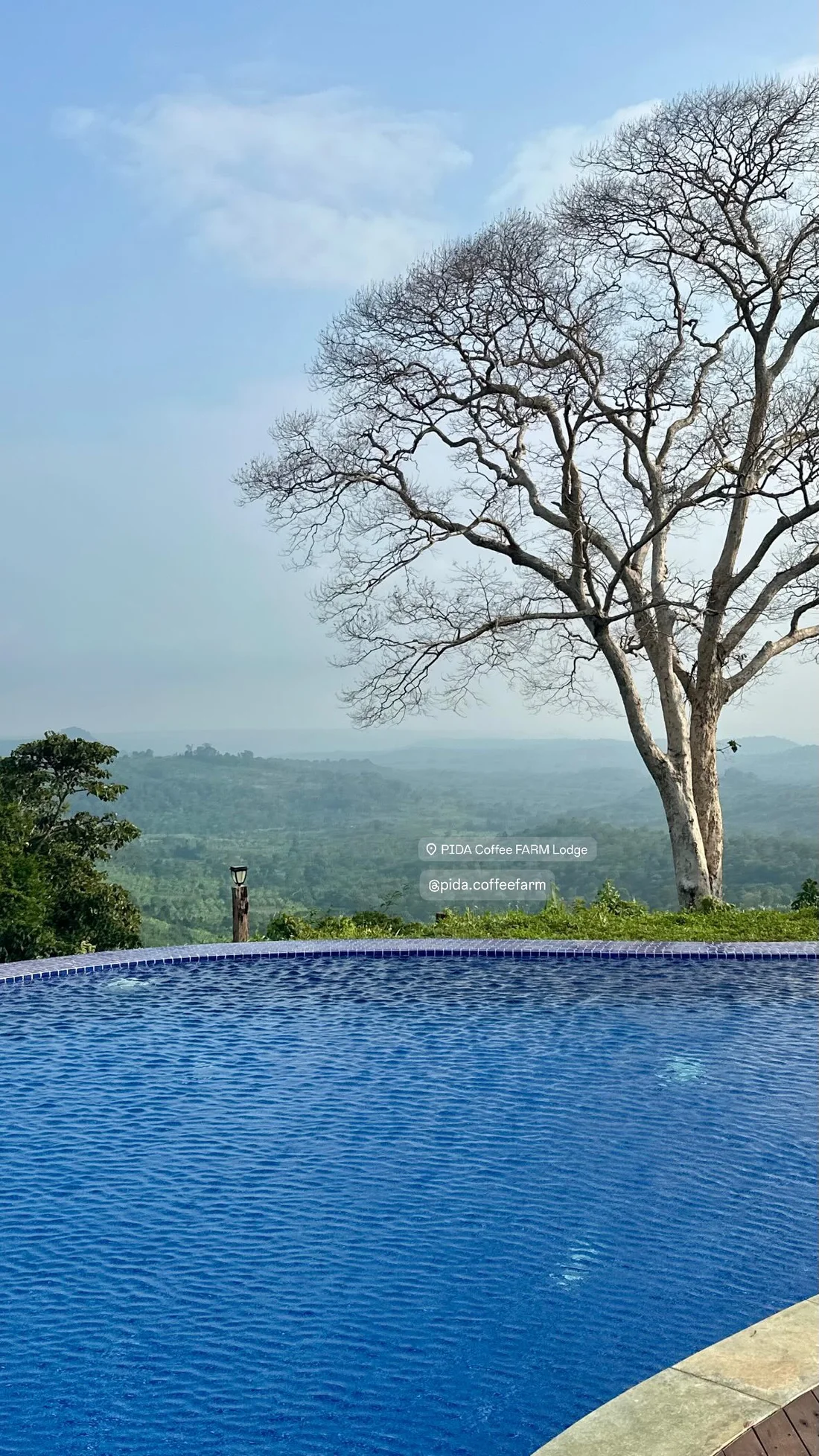 The Mondulkiri hills from PIDA Coffee Farm, photographed on our trip.